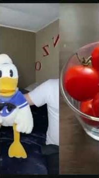 Donald Duck's screams The full saga Tik Tok (archive)