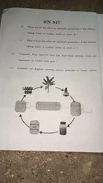 sciencepart 2 paper 10th SSC board 2023 with answer sheet