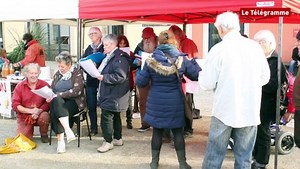 Douarnenez. Découvrez pourquoi les voiles de vieux gréements sont rouges | Le Télégramme