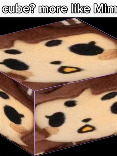 ts will be the new meme in the typh fanbase #mimi #typh #mimityph #meme #fyp