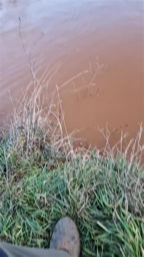 #estspinningbrigade #brangigi