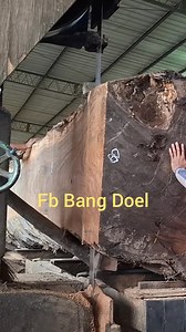 The discovery of ancient long, fibrous wood quickly sawn to become world table boards #trendingvidio #instream #viralvidio #populer #fbpro #woodworking #sawmills #cutting #skills #diy #amazing #world #american #brazil | Bang Doel