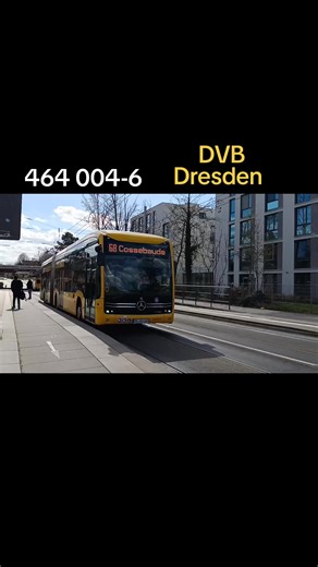 #DVB #Bus #spotting #Dresden #fy