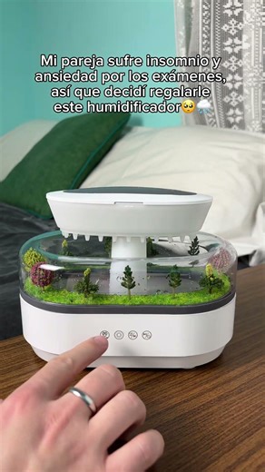 El mejor regalo que puedes hacerle a esa persona importante🥹❤️‍🩹🌧️ #insomnia #anxiety #humidifier