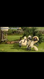 941K views · 37K reactions | Bhedi ki love story  #animals #animallover #pets #petlovers #petcare #dog #sheep #pig #funny #cute #crazy #viralreelschallenge #trendingnow #reelkarofeelkaro #reelitfeelit #reelsindia #reelsfacebook | Janvaro ki bhasha369 | Facebook