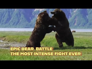 Epic Bear Battle Caught on Camera: The Most Intense Showdown You’ll Ever See!