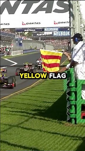 What Do F1 Flags Mean?
