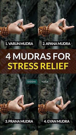 4 Mudras for Reduced Stress | Calm Your Mind Naturally with Yoga | Siddhi Yoga