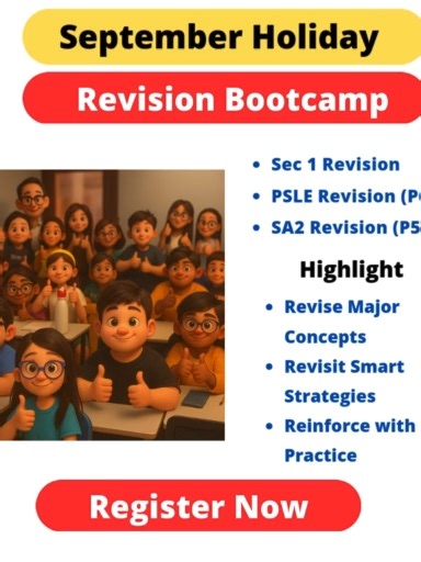 Get ready for Year-End exam. DM for details #psle2025 #psle2025prep #sec1 #eoy25