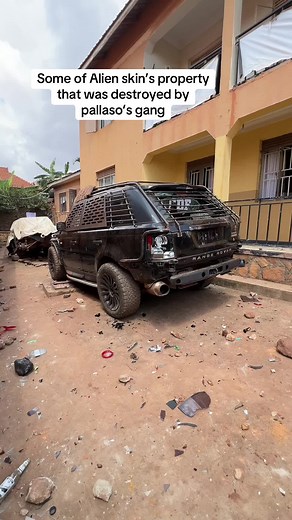 Pallaso vs Alien Skin: The Battle Continues in 2024