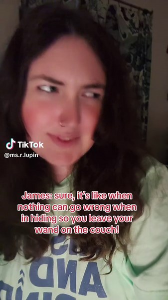 Harry Potter: Marauders' Era Adventures Explained