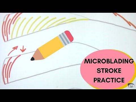 PERFECT your Microblading (by Perfecting your FRAME)