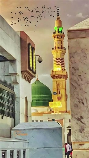 woh Mera Nabi hai woh jis ka #madinah #love #muhammadﷺ #naat