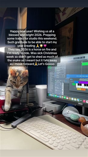 Happy New Year, creative Humans ✨🌟✨🌟✨🌟#happynewyear #songwriter #humanart #indieartist