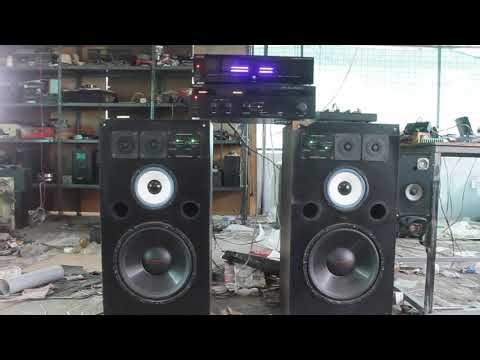 12 Inch 3 Way Box, Stereo Amplifier, 124 LED Audio Level Indicator