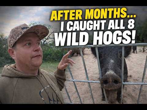 "They Avoided My Trap for MONTHS… Then I Caught ALL 8 at Once!" 🎯🐗