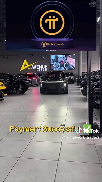 Understanding Pi Network Marketing and Payment Success