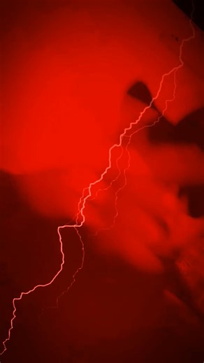 𝓔𝓵 𝓟𝓪𝓭𝓻𝓲𝓷𝓲𝓽𝓸 𝓣𝓸𝔂𝓼, 𝓢𝓴𝓻𝓪𝓹𝔂- "𝓟𝓟𝓟" | Sharona H. Jackson