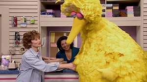 The National Academy of Television Arts & Sciences announces Fran Brill as the Lifetime Achievement Honoree at the 3rd Annual Children’s & Family Emmy Awards. | Sesame Workshop