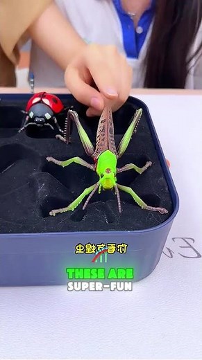 👏🐞🦗Super fun and ultra realistic insect models!#shorts