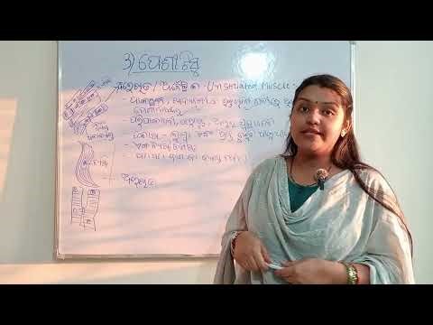 Muscular Tissue (ପେଶୀ ତନ୍ତୁ) Class 9 Chapter 3| Prani Tissue Easy Explanation Odia part-2