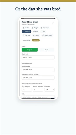 Preg Check the Easy Way — Enter It However You Know It | Herd Advisor