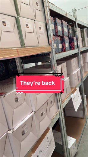 Teddy Eva Scents Candle Warmers Are Back