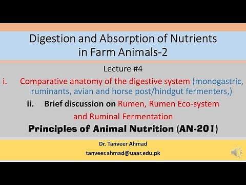 Lecture#4-Comparative anatomy of the digestive system-Lecture Series in Animal Nutrition