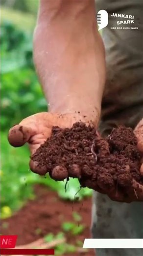 India's Agricultural FUTURE Revealed by Top Expert | Artificial intelligence comes to farming