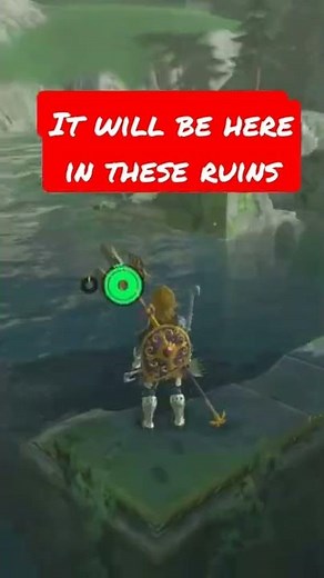 How to find the Zora Helm In Zelda Botw