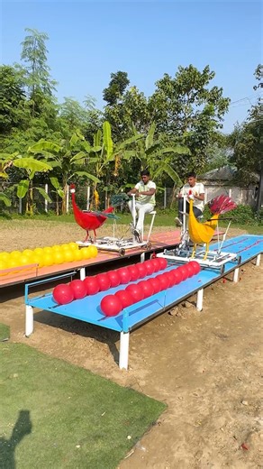 1.1M views · 12K reactions | who will smash through every obstacle and reach the finish first? from bird bikes to spinning baskets, this obstacle race stays intense until the very last second | SS Food Challenge | Facebook