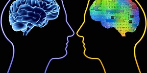 Will the Future of AI Learning Depend More on Nature or Nurture?