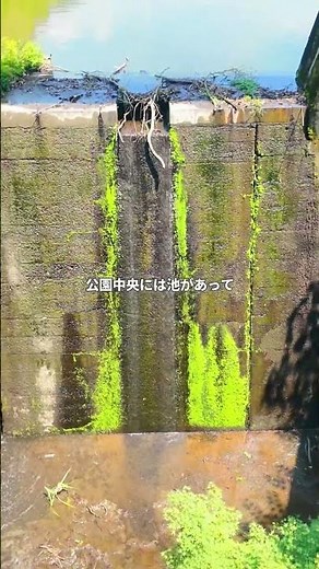 愛知高原国定公園・定光寺をのんびり散歩｜自然に癒される瀬戸の絶景スポット🌿