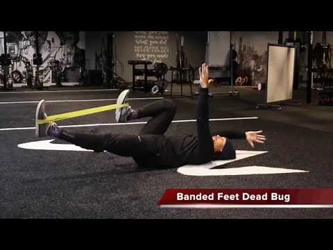17 Dead Bug Variations To Help with Core Strength and Low Back Pain