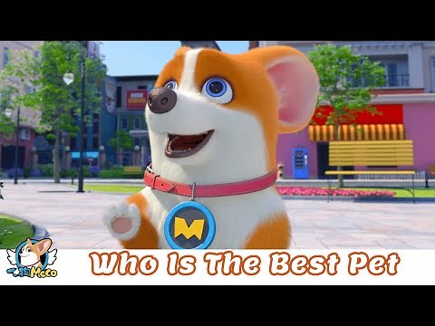 House Has a Short-leg 🏠🦴 | Who Is The Best Pet 寵物還是自家好 | Flying MOCO Fun Cartoon飞狗MOCO家有小短腿(2022)