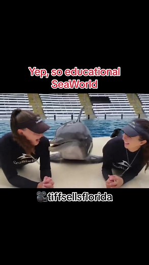 SeaWorld Dolphin Diego: Performing, Not Educating | Captivity Awareness