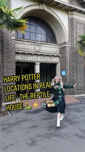 Exploring the Magical Reptiles of London Zoo and Harry Potter Film Locations