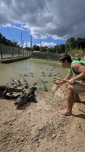 Alligator Feeding! 70 Gators! | Wild Charles