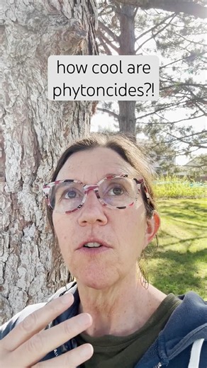 How cool are phytoncides?@ordinarynature