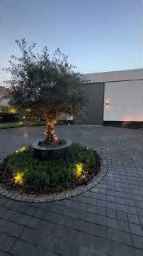 Inside a $6M Houston Big Mansion 🗽