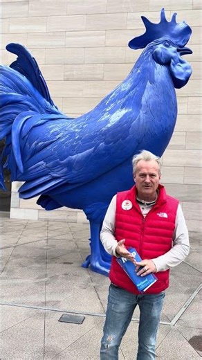 Like the Blue Rooster I'm Different as a Realtor