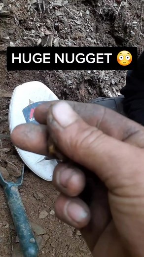 Biggest Gold Nugget Found in PA - Incredible Discovery!