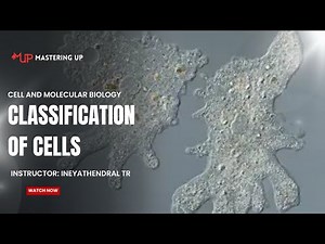 Flowchart Explaining the Classification of Cells | #15