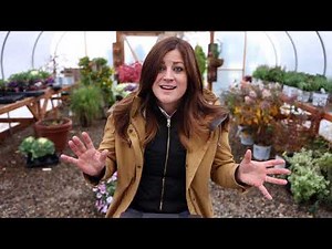 Too Many Plants, Harvesting Parsnips, Grasses, Decorating and Catching Skunks!