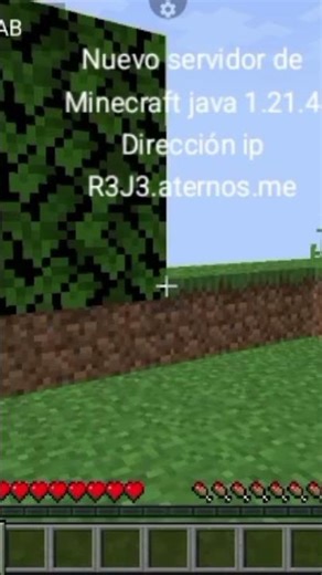 nuevo servidor de Minecraft java 1.21.4 dirección IP R3J3.aternos.me