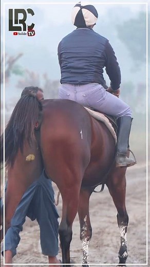 #horse #horseracing #horserace