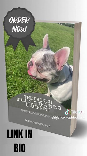 Complete Guide to Training Your French Bulldog