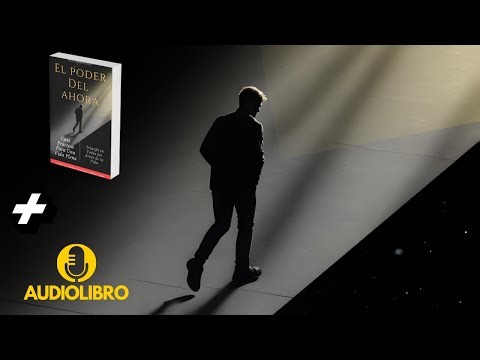 ¡De Inexperto a Experto en 5 Niveles!