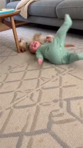 Baby and puppy first cuddle together ❤️🤣😀😅