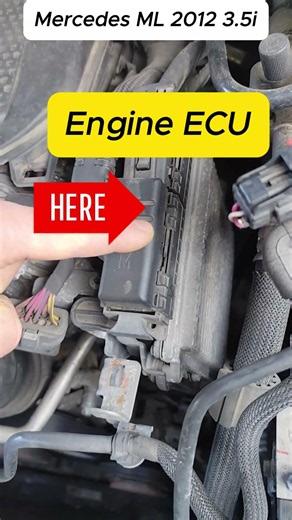 Where is the Engine ECU? Mercedes ML350 225kw #mechanic #mercedes #diy #cars
